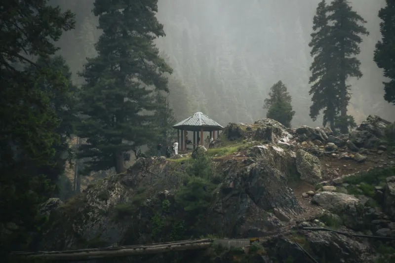 Above the Noise: How Darjeeling's Mountain Retreats Are Offering American Executives a New Path Through Burnout