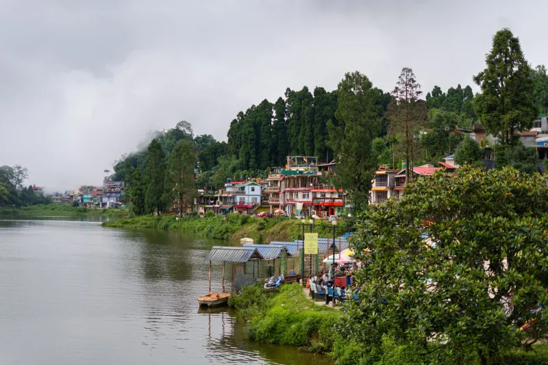 Seasons of Reckoning: What Darjeeling's Ancient Preparation Culture Teaches American Communities About Climate Resilience