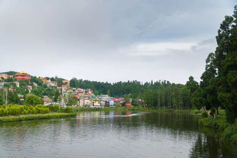 Yielding to the Storm: What Darjeeling's Monsoon Culture Reveals About Leading Through Uncertainty